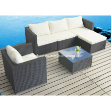 Outdoor Möbel Sofa Set für Hotel mit Aluminiumrahmen (82012p)